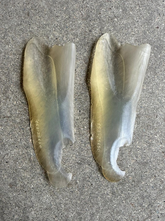 Product 1946